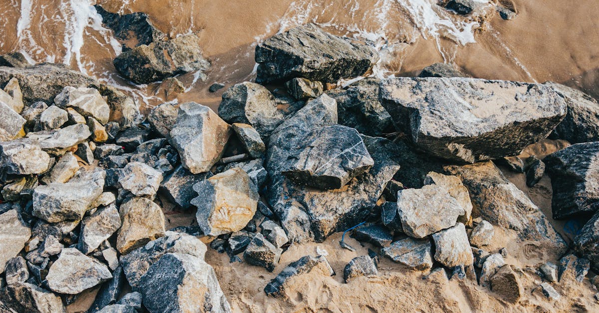Eco-Friendly Paint Options for Sustainable Decor